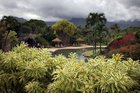 Kauai's North Shore a tropical paradise