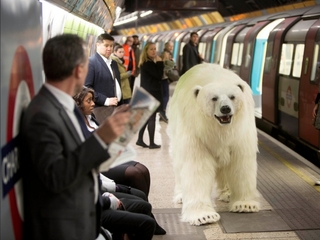 Fake polar bear roams streets of London