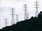 States work to protect electric grid