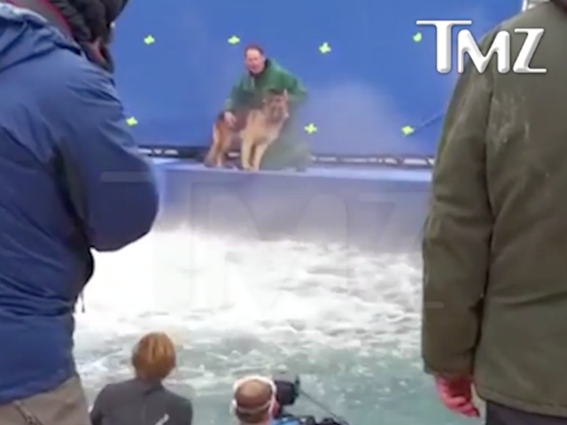 animal abuse a s purpose shows possible animal abuse on the set of a s purpose theindychannel animal abuse a s purpose shows possible animal abuse on the set of a s purpose theindychannel