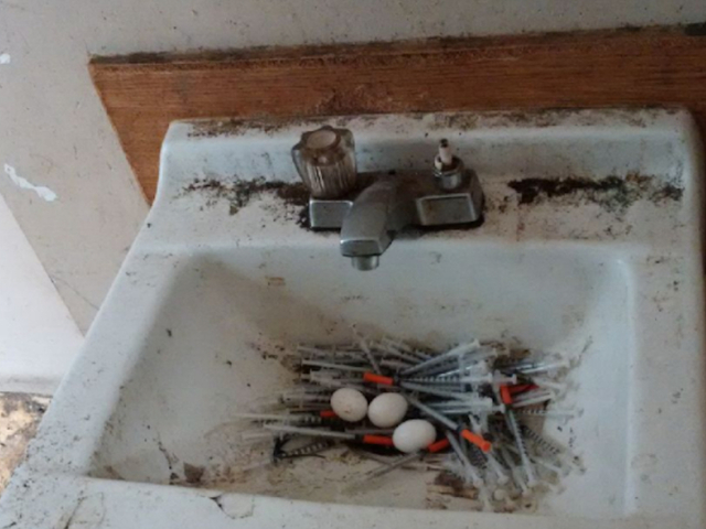 Pigeons used opioid needles to make nest, police say - WRTV Indianapolis