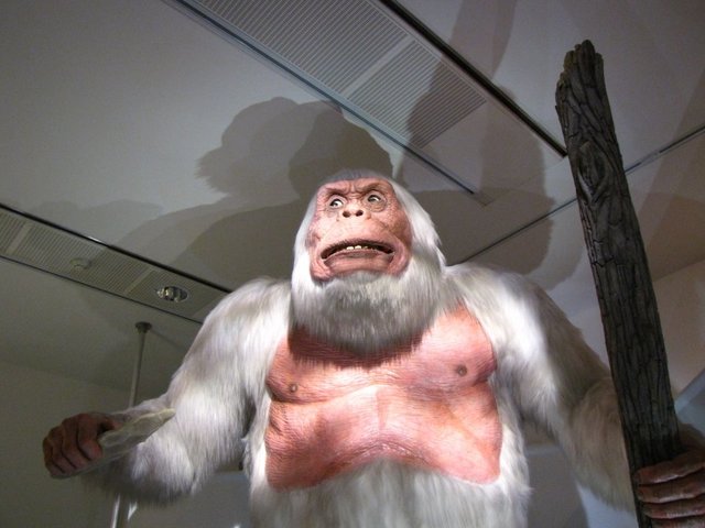 DNA tests reveal the Yeti's not-so-abominable identity DNA tests reveal the Yeti's not-so-abominable identity