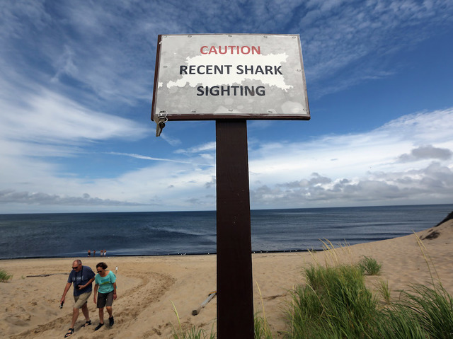 Man dies after suspected shark attack on Cape Cod